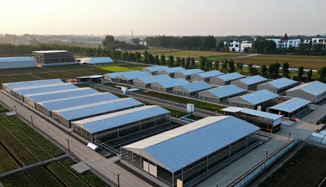 如何从技术与成本维度评估场景产品的可靠性